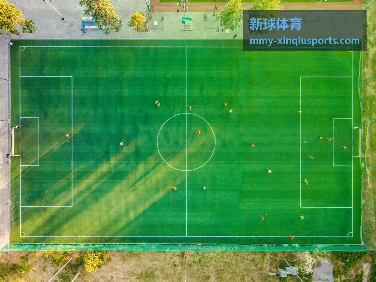 新球体育 转会市场动态